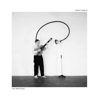 Sweet Baboo - The Wreckage vinyl cover