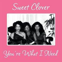 Sweet Clover - You're What I Need vinyl cover