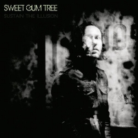 Sweet Gum Tree - Sustain The Illusion vinyl cover