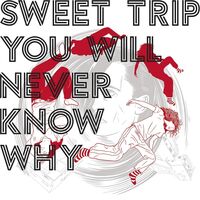 Sweet Trip - You Will Never Know Why vinyl cover