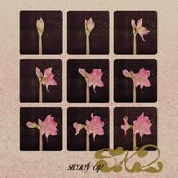 Sx2 - Steady Up vinyl cover