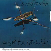 Syko Friend - Fontanelle vinyl cover