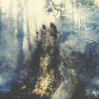 Sylvaine - Wistful vinyl cover