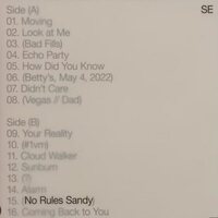 Sylvan Esso - No Rules Sandy vinyl cover