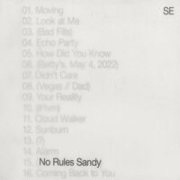 Sylvan Esso - No Rules Sandy (Olive Green) vinyl cover