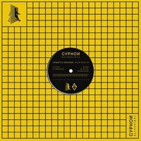 Synaptic Voyager - Rise vinyl cover