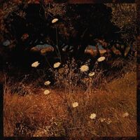 Szun Waves - Earth Patterns vinyl cover