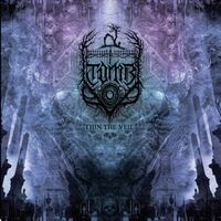 T.o.m.b - Thin The Veil vinyl cover