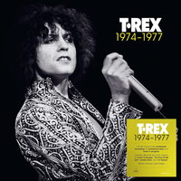 T. Rex - 1974-1977 vinyl cover