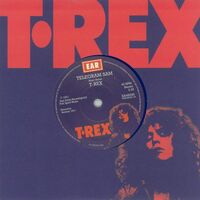 T. Rex - Telegram Sam/baby Strange vinyl cover