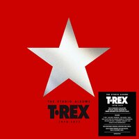 T.Rex - The Studio Albums 1970-1977 (Half & Half) vinyl cover