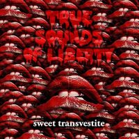 T.s.o.l. - Sweet Transvestite vinyl cover
