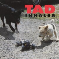 Tad - Inhaler (Magenta) vinyl cover