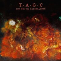 Tagc - ISo-Erotic Calibration vinyl cover