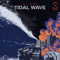 Taking Back Sunday - Tidal Wave vinyl cover