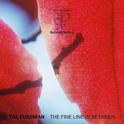 Tal Fussman - The Fine Line in Between vinyl cover