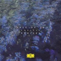 Tale Of Us - Endless Remixes vinyl cover