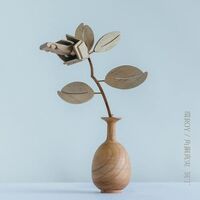 Tamaki Roy - Aspire Manami Kakudo Remix Flowers Meitei Remix vinyl cover