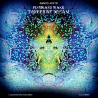 Tangerine Dream - FInnegan's Wake Sleeve On Side-D vinyl cover