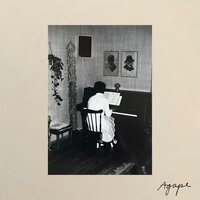 Tara Nome Doyle - Agape vinyl cover