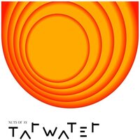 Tarwater - Nuts of Ay vinyl cover