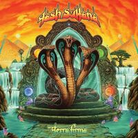 Tash Sultana - Terra Firma vinyl cover