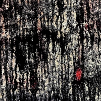 Tashi Dorji & Tyler Damon - Both Will Escape vinyl cover