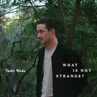 Tashi Wada - What Is Not Strange? vinyl cover