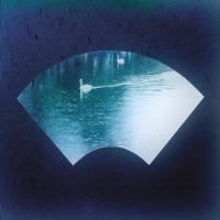 Taxgorkhan - Leaves In A Stream vinyl cover