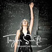 Taylor Swift - Should've Said No vinyl cover