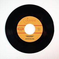Taylor Williams - Dreaming / What About Me? vinyl cover