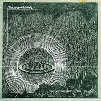 Techno Animal - The Brotherhood Of The Bomb vinyl cover