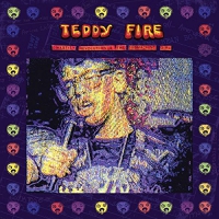 Teddy / Fidd,iguid Fire - Chastity Revolution And The Submachine Girl vinyl cover