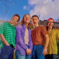 Teeers - Overheat vinyl cover