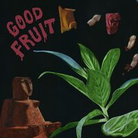 Teen - Good Fruit vinyl cover
