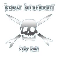Teenage Bottlerocket - Stay Rad! vinyl cover