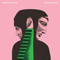 Teenage Fanclub - Endless Arcade vinyl cover