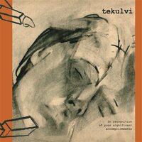 Tekulvi - In Recognition Of Your Significant Accomplishments vinyl cover