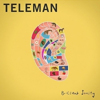 Teleman - Brilliant Sanity vinyl cover