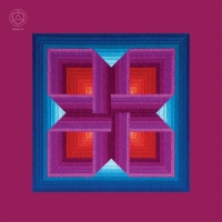 Teleplasmiste - Frequency Is The New Ecstasy vinyl cover