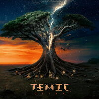 Temic - Ceiba vinyl cover