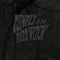 Temple Of The Fuzz Witch - Temple Of The Fuzz Witch vinyl cover