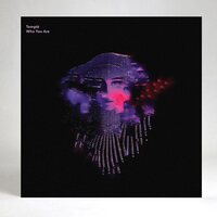 Temple - Who You Are Prins Thomas Remix vinyl cover