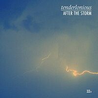Tenderlonious - After The Storm vinyl cover