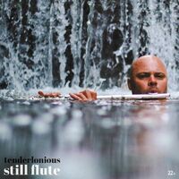 Tenderlonious - Still Flute vinyl cover