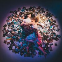 Tengil - Shouldhavebeens vinyl cover