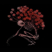 Tenhi - Folk Aesthetic 1996-2006 vinyl cover