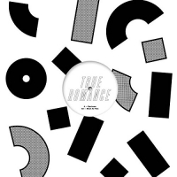 Tensnake - Machines / Black As Flies vinyl cover