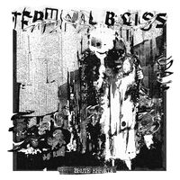 Terminal Bliss - Brute Err/Ata vinyl cover