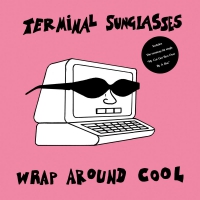 Terminal Sunglasses - Wrap Around Cool vinyl cover